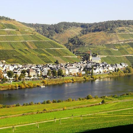 Weinstube Pension Moselbluemchen Zeltingen-Rachtig Bagian luar foto