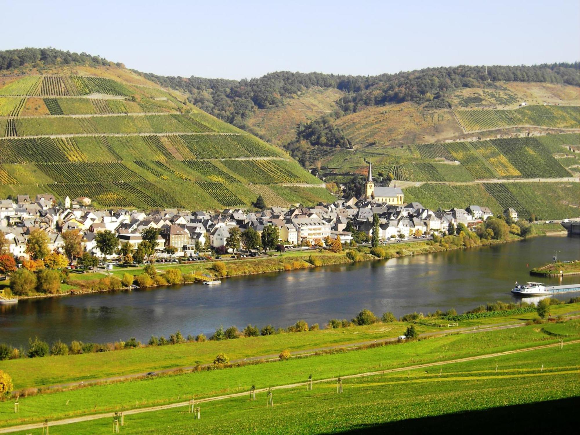 Weinstube Pension Moselbluemchen Zeltingen-Rachtig Bagian luar foto