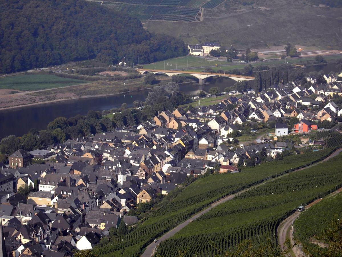 Weinstube Pension Moselbluemchen Zeltingen-Rachtig Bagian luar foto